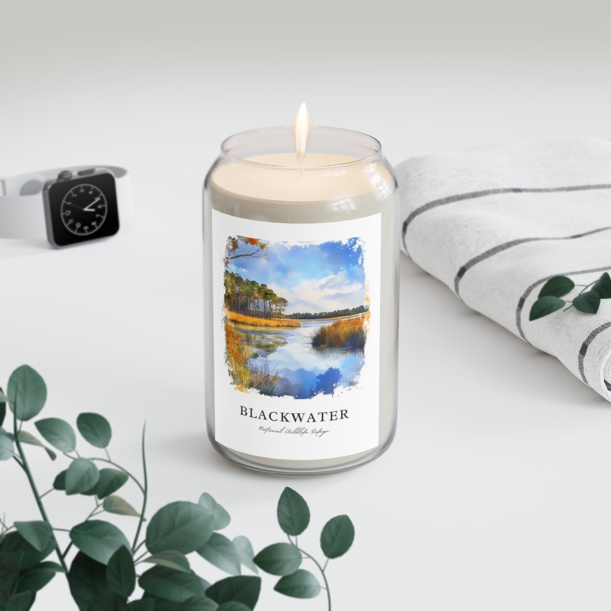 Blackwater, National Wildlife Refuge scented soy candle