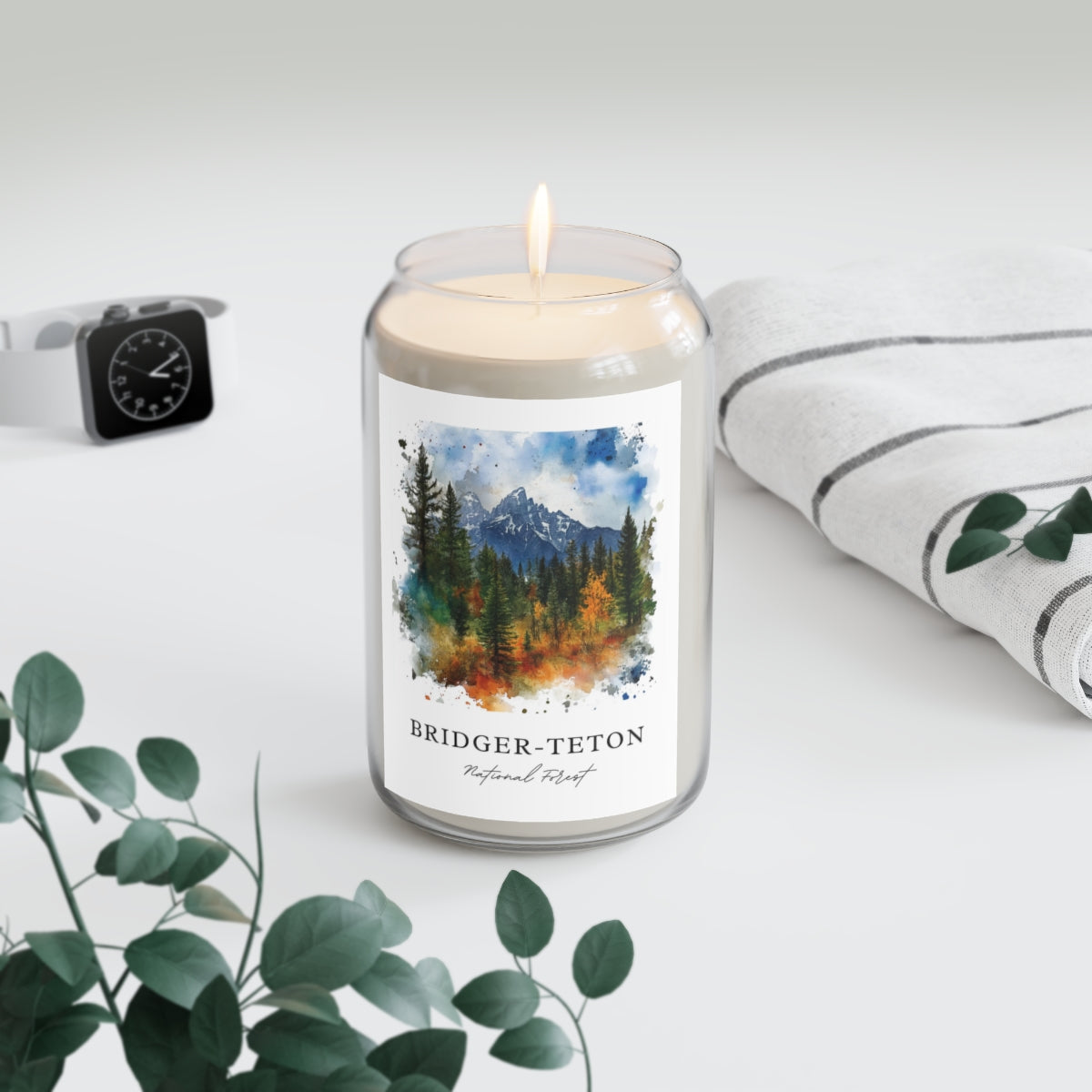 Bridger-Teton, National Forest scented soy candle