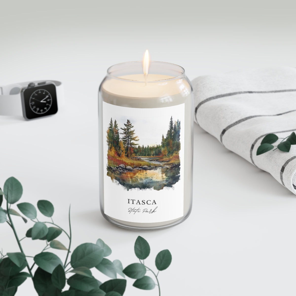 Itasca, State Park scented soy candle
