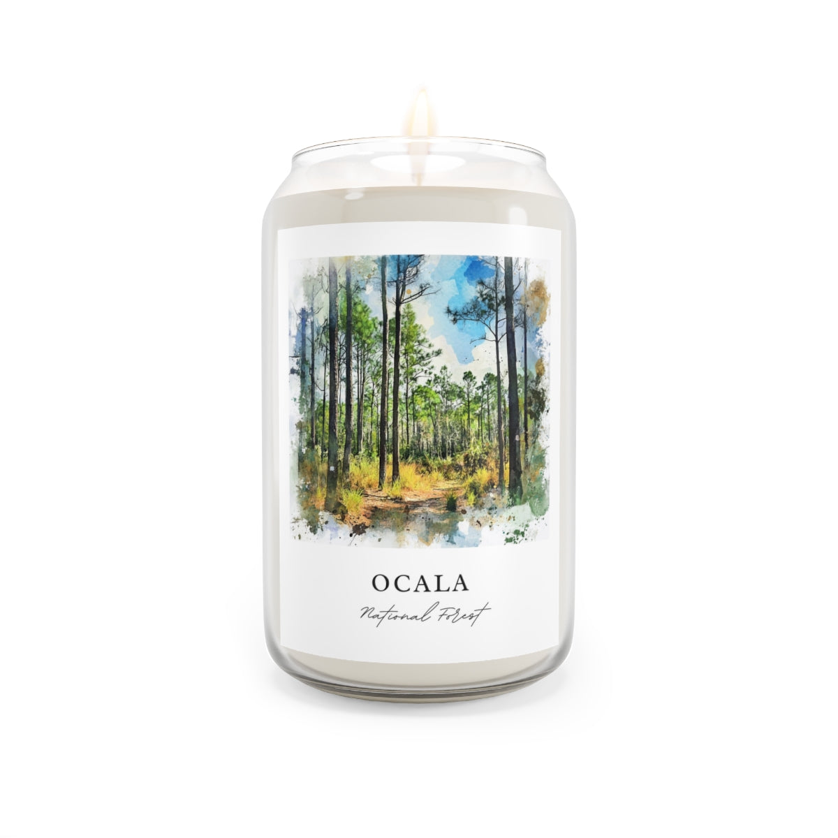 Ocala, National Forest scented soy candle