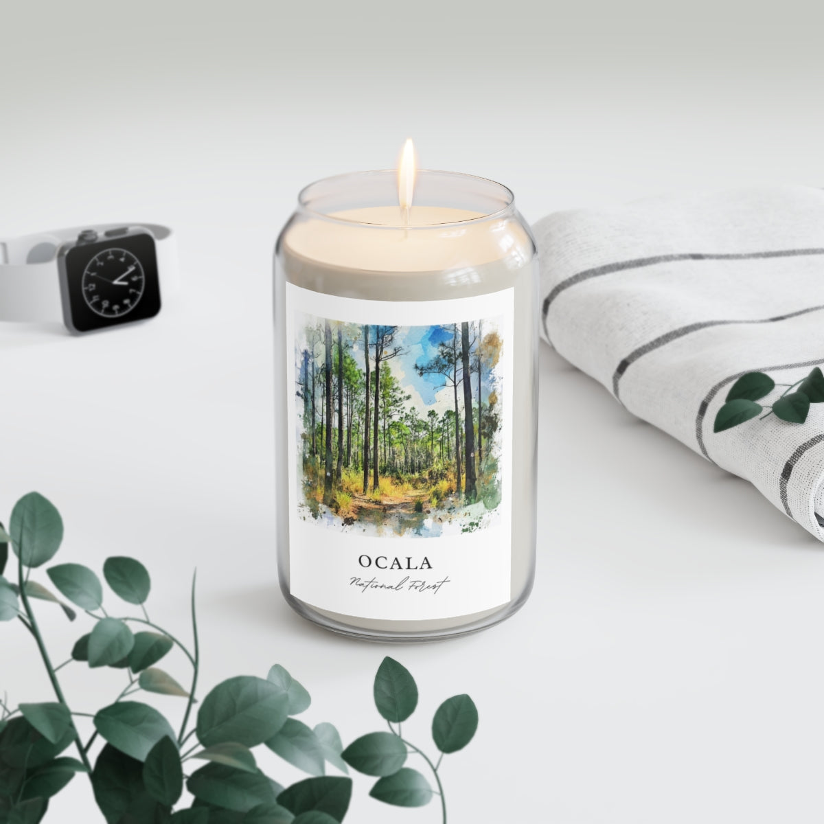 Ocala, National Forest scented soy candle