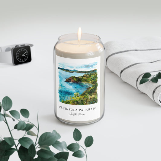 Peninsula Papagayo, Costa Rica scented soy candle