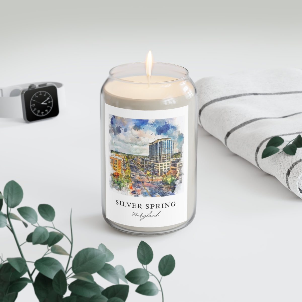 Silver Spring, Maryland scented soy candle