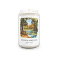 Load image into Gallery viewer, Silver Springs, State Park scented soy candle
