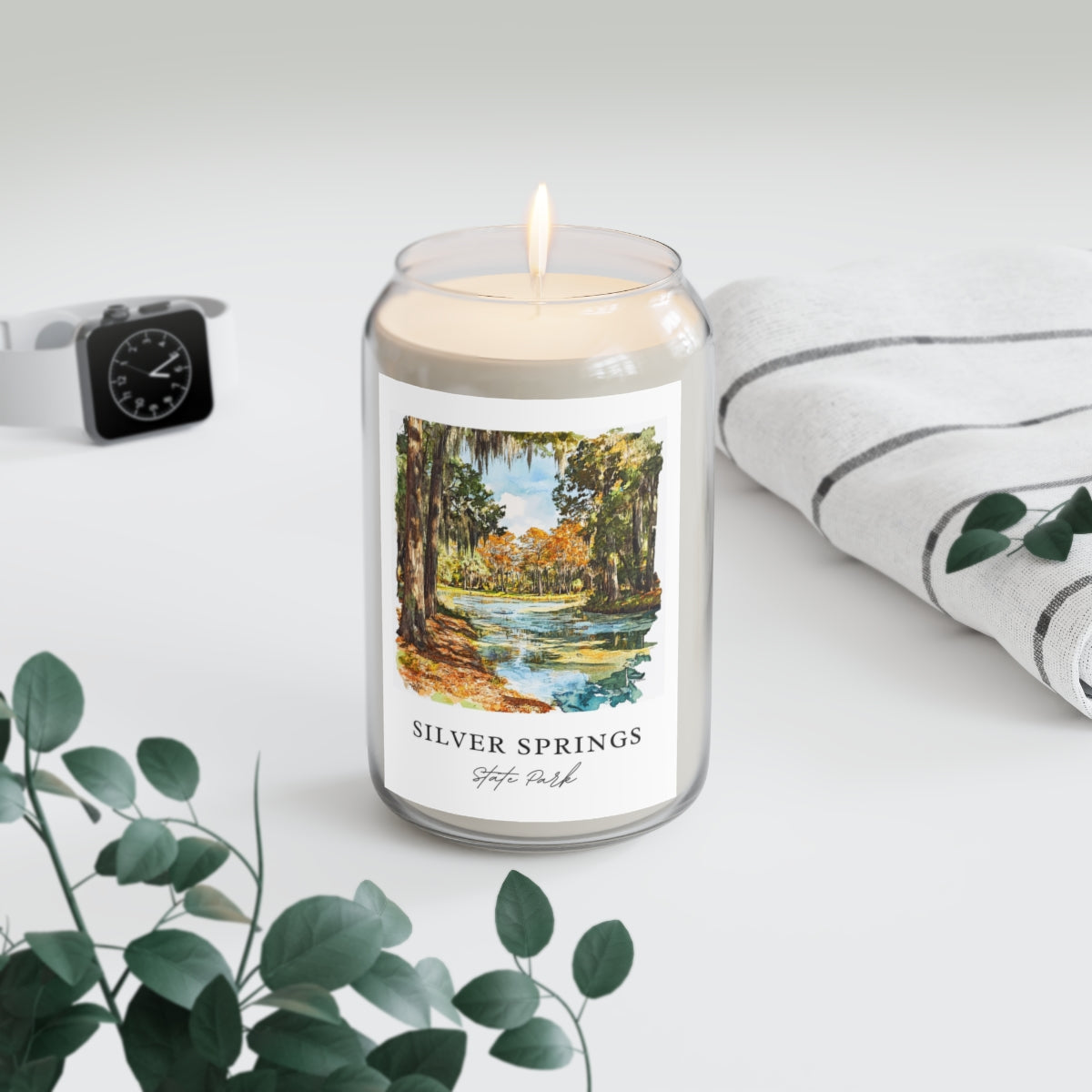Silver Springs, State Park scented soy candle