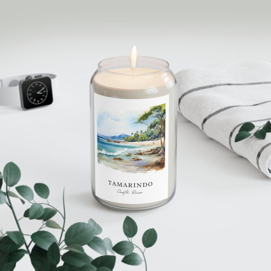 Tamarindo, Costa Rica scented soy candle
